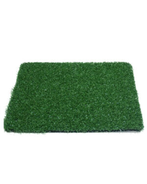 sinthetikos xlootapitas dundee 2